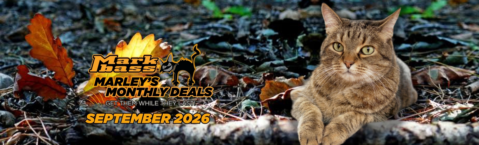 slide marley deals SETTEMBRE 2026_1980x600